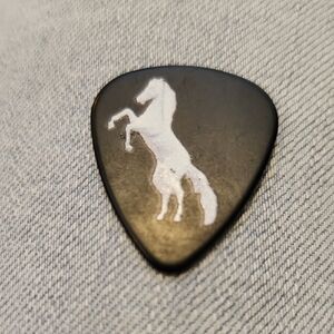 Metallica M72 WORLD TOUR collectible Guitar Pick Denver Broncos June 29 2025